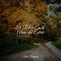 Claves Tranquilas - Musica relajante & Música de la Naturaleza & Dormir Sol