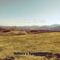 relaxing chasin - Nature's Symphony