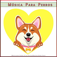 La Mejor Música para Mascotas - Música Para Perros & Música Pura Para Perros & Ansiedad De Los Perros