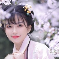 樱花吟 - 飘雪