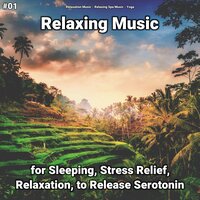 Calm Ambient Music for Cats - Relaxation Music & Relaxing Spa Music & Yoga