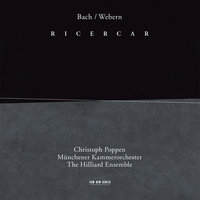 Webern: 5 Movements for String Quartet, Op. 5 - 5. In zarter Bewegung - Münchener Kammerorchester & Christoph Poppen & Антон Веберн