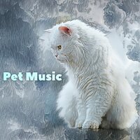 Healing Reiki - Music For Cats & Cat Music & Music For Cats Peace