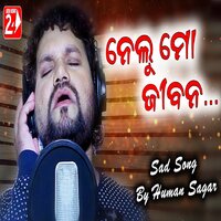 Nelu Mo Jibana... - Human Sagar