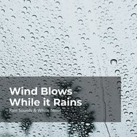 Whooshing Wind Blow - Rain Sounds & White Noise & Raindrops Sleep & Sleep Rain