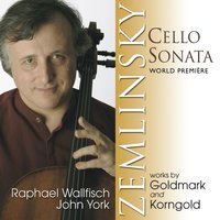 Sonate Op. 39: II. Andante - Raphael Wallfisch & John York