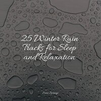 Rainy Sunrise Forest Ambience - Rainfall For Sleep & Rain Sounds Nature Collection & Rain and Nature