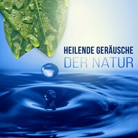 Achtsamkeitsübungen - Zen Buddhismus Regeneration Sammlung