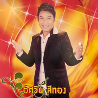เมียสองต้องห้าม - อัศวิน สีทอง