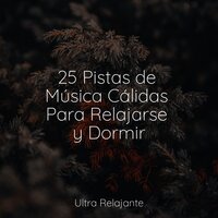 Dicha En La Niebla - Música Relajante para Perros & Entrenamiento Autógeno y Meditación Specialistas & Naturaleza