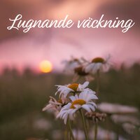 Regenererande vatten - Lugn Musik Atmosfär