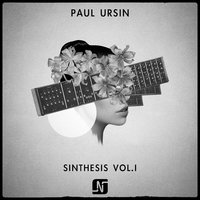 Maze - Paul Ursin