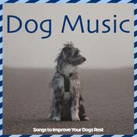 Paws in the Sand - Relax My Dog & Dog Music Dreams & RelaxMyDog