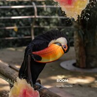 How Do You Do - Boom