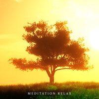 Positive Thoughts - Meditação e Espiritualidade Musica Academia