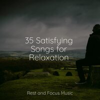 Gentle Evenings - Música de la Naturaleza & Spa Zen & Sounds of Nature White Noise Sound Effects