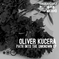 Path Into The Unknown - Oliver Kucera