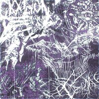 Musashi - MEELBRN
