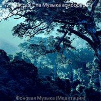 Чувство (спа) - Массаж Спа Музыка атмосфера