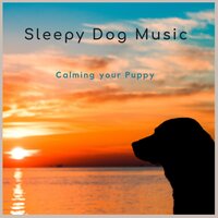 Puppy Sleeping Music - Sleepy Dog Music