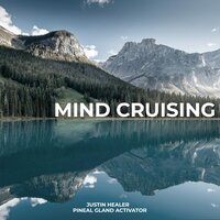 Cleanse the Pain - Justin Healer & Pineal Gland Activator
