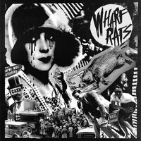Capital Gains - Wharf Rats