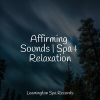 Meditative Waves - Spa Music Collective & Deep Sleep FX & Especialistas de Musica para Dormir