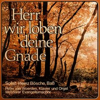 Jesus, Heiland meiner Seele - Heinz Bösche & Wetzlarer Evangeliumschor & Margret Birkenfeld & Peter van Woerden