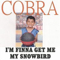 Cloak & Dagga - Cobra