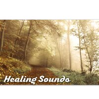 Serenity Spa - Relaxing Music Zone