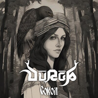 Сокол - Durga