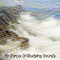 Nourishing Yoga Impulse - White Noise Meditation