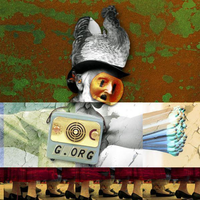 Face the Face - g.org