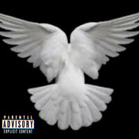Birds - BIgBoyBiznis