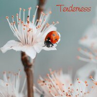 Thunder Strike - Children Music Unlimited & Smart Baby Lullabies & Música Relante para Bebés
