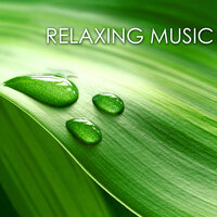 A Moment of Silence - Relaxing Music Spirit