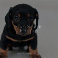 Calm Waves - Music for Dogs Collective & Jazz Music Therapy for Dogs & Sleeping Music For Dogs