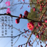 惟愿 - 高兴