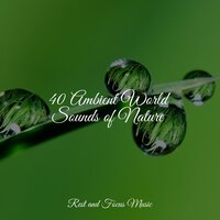 Trance and Zen - White Noise Sound Garden & Best Relaxing Spa Music & Musica Relaxante