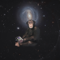 Monkeys in Space - Akira the Don