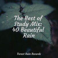 Beach, Waves, Lapping, Medium - Relaxation Music Guru & White Noise for Babies & Musica Reiki