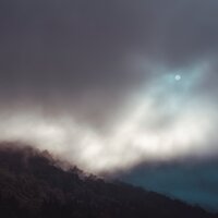 Mist - SVLBRD