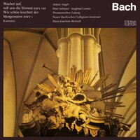 Wachet auf, ruft uns die Stimme, BWV 140: VII. "Gloria sei dir gesungen" - Neues Bachisches Collegium Musicum & Thomanerchor Leipzig & Hans-Joachim Rotzsch & Johann Sebastian Bach