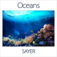 Tranquil Tide Pool - Sayer