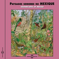 Night in the San Miguel De Allende Constryside - Bernard Fort