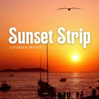 Sublime Synthesis - Lounge Music