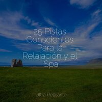 Soñando Tranquilo - Meditação Yoga & Massagem Música & Sueños Triplete