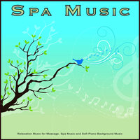 Soothing Spa - Spa Playlist & Spa Music Relaxation & Amazing Spa Music