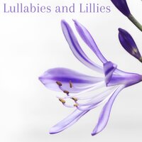 Joyful Birds Choir - Baby Sleep Music & Musique pour dormir & Dormir Bien