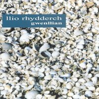Diniweidrwydd (i William Rhys) - Llio Rhydderch